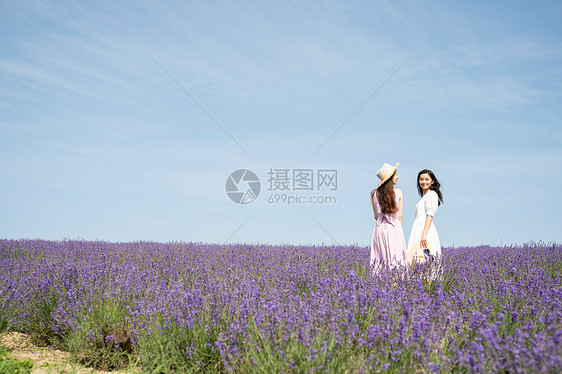 在花田里散步的女人图片