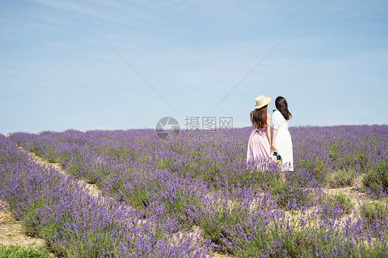 游览二十几岁复制空间花田和妇女画象图片