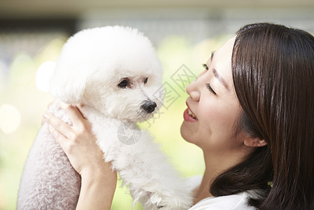 表示宠物近距离生活女人成年人狗韩国人图片