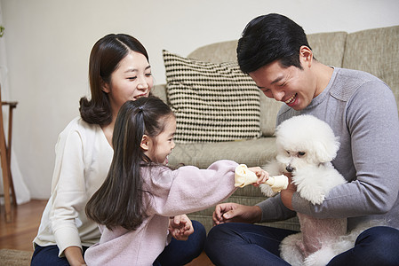 室内养宠物温馨幸福的一家人图片