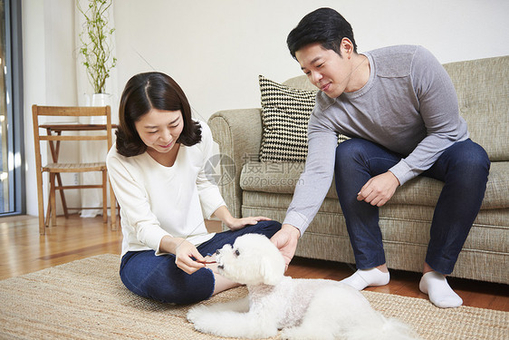 夫妻在喂宠物狗食物图片