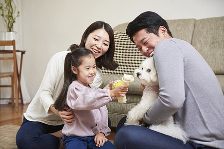 室内可爱宠物狗的一家人快乐生活图片