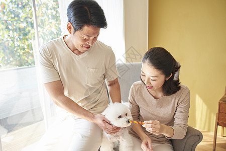 妈妈在给宠物狗喂食图片