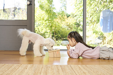 小女孩观察狗狗吃饭高清图片