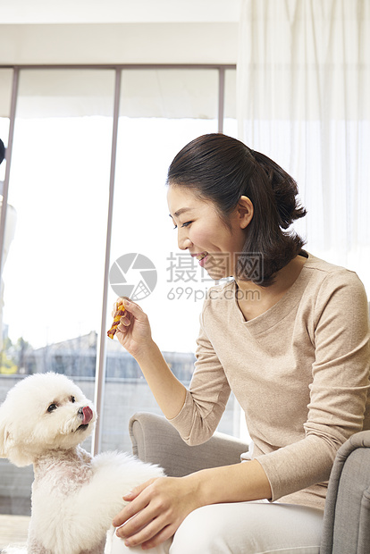 在内客厅30岁生活女人成年人狗韩国人图片