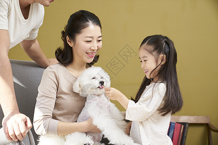 评价神谕强烈的感情家人爸爸妈妈女儿小狗韩国人图片
