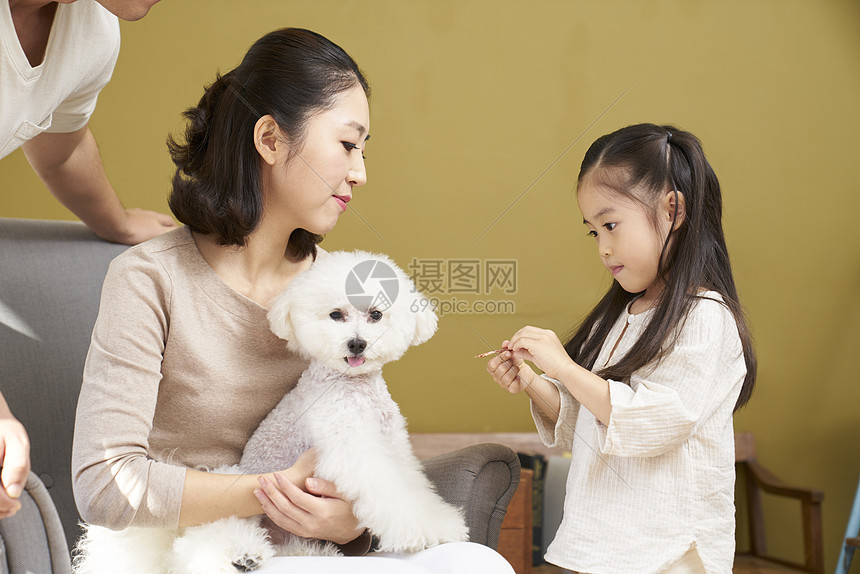 强烈的感情快乐幸福家人爸爸妈妈女儿小狗韩国人图片