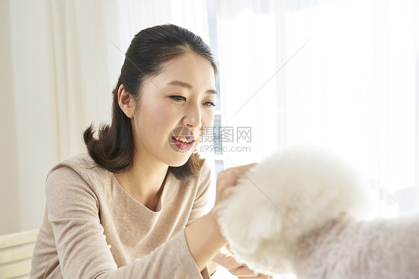 新生代近距离动物生活女人成年人狗韩国人图片