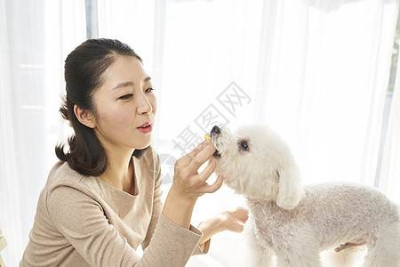 强烈的感情表示微笑生活女人成年人狗韩国人图片