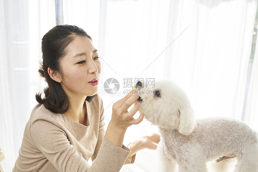 强烈的感情表示微笑生活女人成年人狗韩国人图片