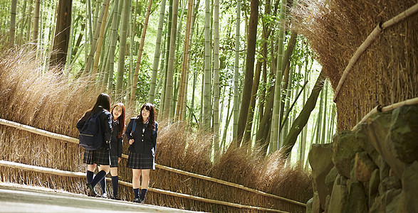 三个高中女生站在竹林外交谈图片