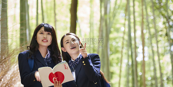 竹林中的女高中生们观察环境图片