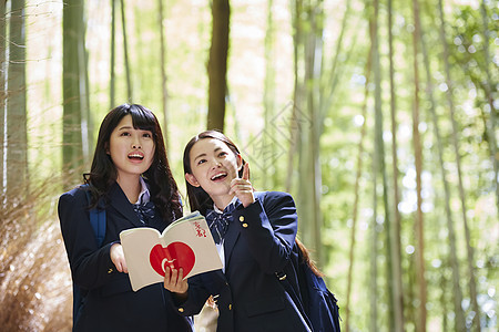 竹林中的女高中生们观察环境手册图片