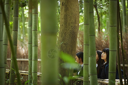 三名高中女孩在竹林里游玩图片