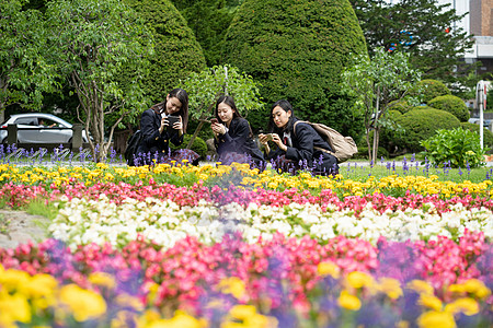 女学生在学校里合影图片