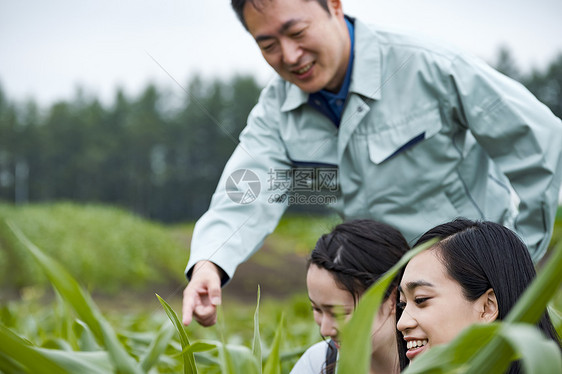 农场的女高中生图片