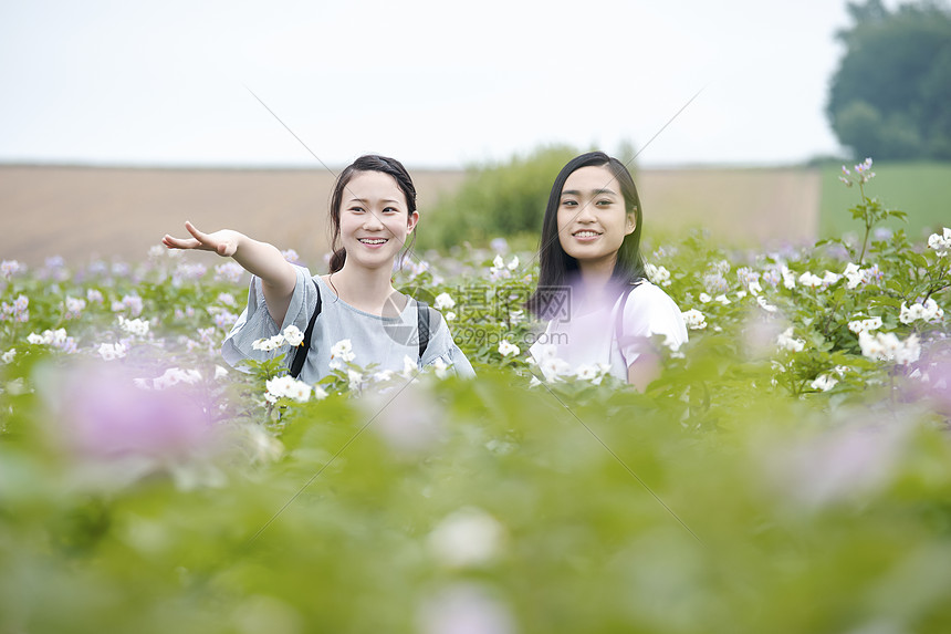 场景精美夏妇女北海道花园图片