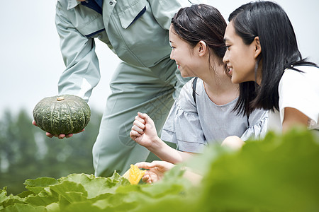 笑脸快乐的休假女子农场之旅图片