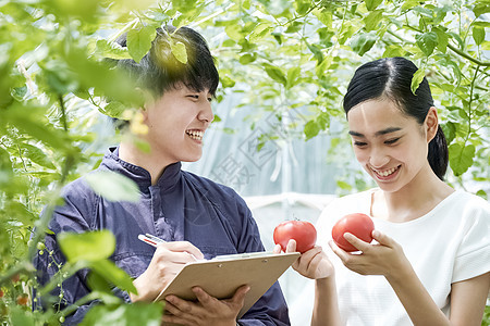 带广市温室大学生男人和女人耕种房子耕种图片