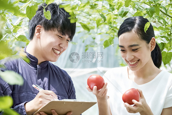 温室栽培笑脸番茄男人和女人耕种房子耕种图片