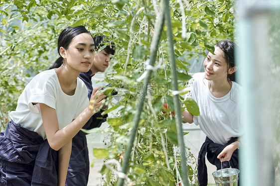 在农场工作的年轻人图片