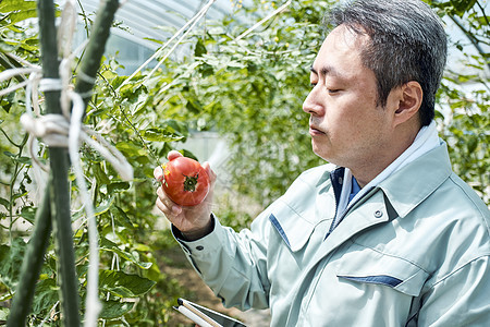 在农场工作的年轻人图片