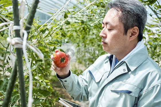 在农场工作的年轻人图片