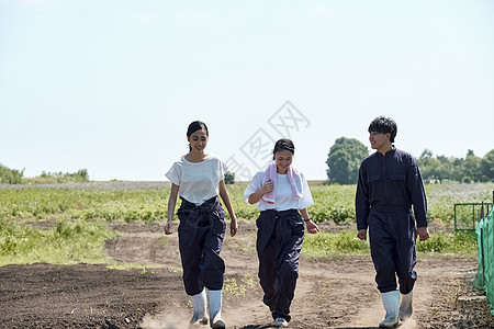 同学们学习农业图片