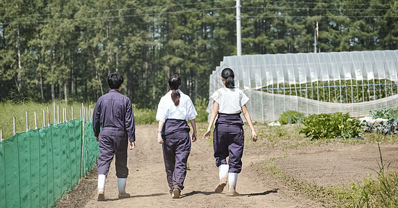 同学们学习农业背影图片