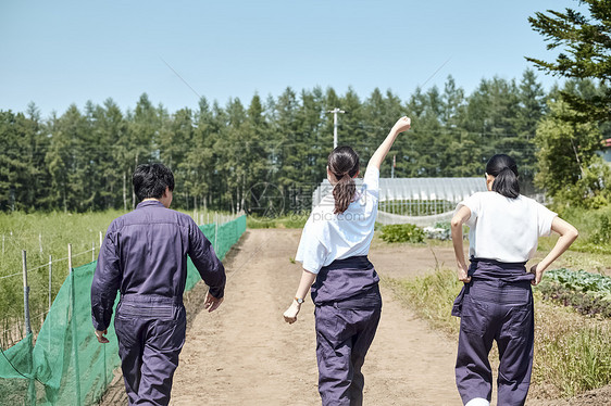 同学们学习农业背影图片