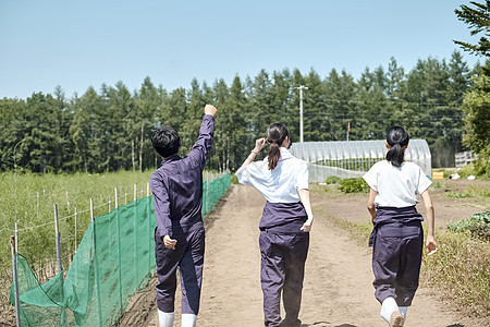 同学们走在农业的路上背影图片