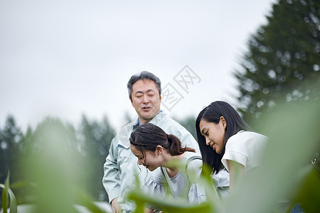 农场里的女青年图片