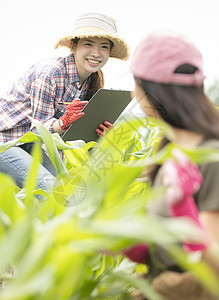 可爱乡村生活女孩女农业伴侣图片