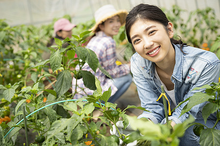 肖像菜地年轻女子女农业图片