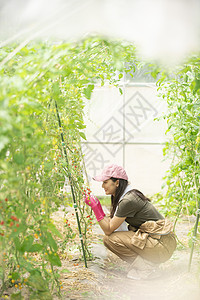 青年原野人类女农业图片