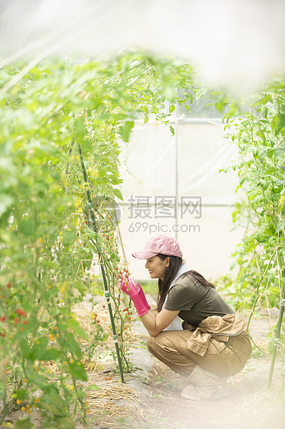 青年原野人类女农业图片