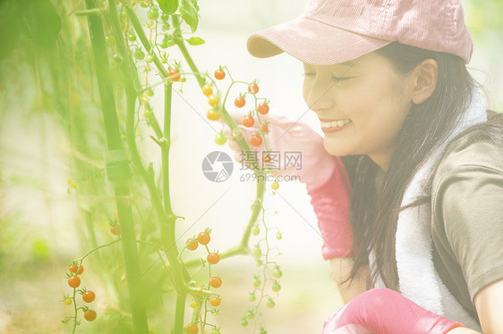 原野商务温室栽培女农业图片