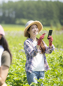 经历伙伴兼差女农业图片