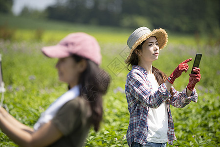 收获年轻女笑脸女农业高清图片