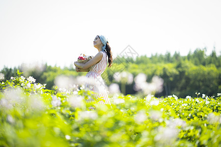 女生带来干净农业经典图片