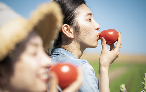 女人亲吻收获女农业伴侣图片