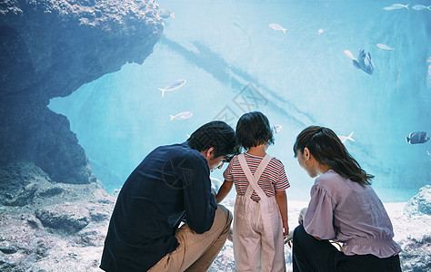 幸福小孩空白部分水族馆家庭图片