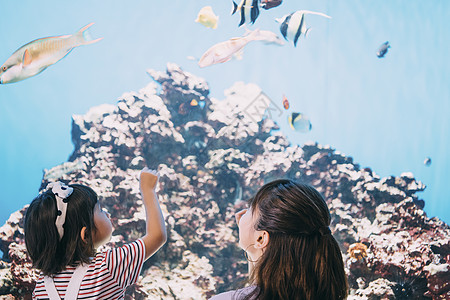 儿童快乐女士水族馆家庭图片