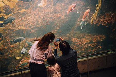 幸福女士们女生水族馆家庭图片