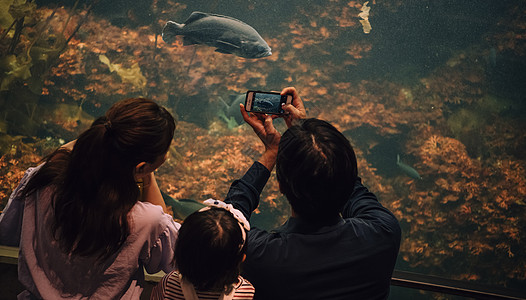 欣赏乐趣三十几岁水族馆家庭图片