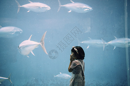 幼儿游泳孤独的水族馆儿童女孩图片