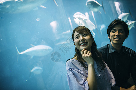 人类好奇延迟水族馆夫妇图片