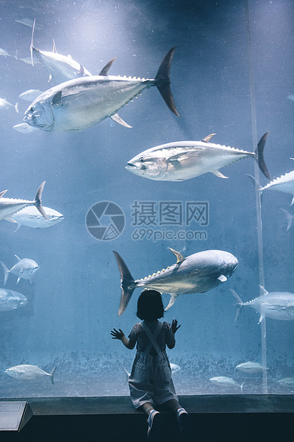 家庭水族馆游玩图片