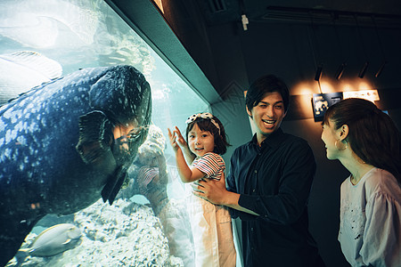 家庭水族馆游玩图片