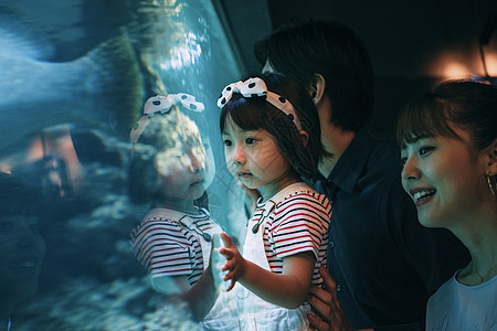 家庭水族馆游玩图片